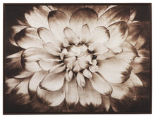 Load image into Gallery viewer, Phiala Wall Art
