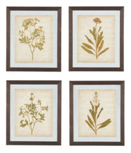 Load image into Gallery viewer, Dyani Wall Art Set of 4
