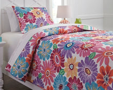 Load image into Gallery viewer, Alexei 2-Piece Twin Quilt Set

