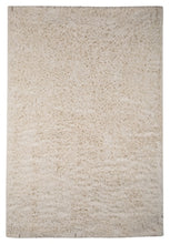 Load image into Gallery viewer, Alonso 5 x 7 Rug
