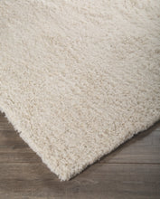 Load image into Gallery viewer, Alonso 5 x 7 Rug
