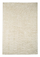Load image into Gallery viewer, Alonso 5 x 7 Rug
