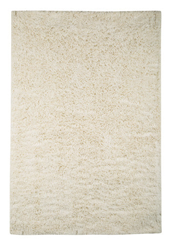 Alonso 5 x 7 Rug