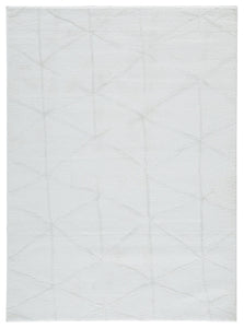 Scarrit 53 x 73 Rug