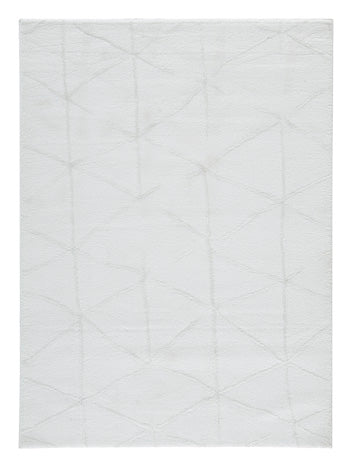 Scarrit 53 x 73 Rug