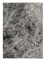 Load image into Gallery viewer, Cailey 8 x 10 Rug
