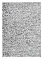 Caelin 5 x 7 Rug
